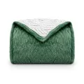 Cobertor Sherpa Glamour Solteiro 1,50x2,10 - Appel - Verde chá