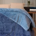 Edredom Plush Flannel Dupla Face Queen 2,20x2,40 - Appel - Azul gelo